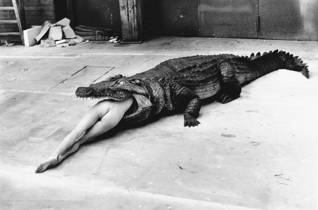 HELMUT-NEWTON_004_Crocodile,-Wuppertal,-1983-(c)-Foto-Helmut-Newton,-Helmut-Newton-Estate-Courtesy-Helmut-Newton-Foundation